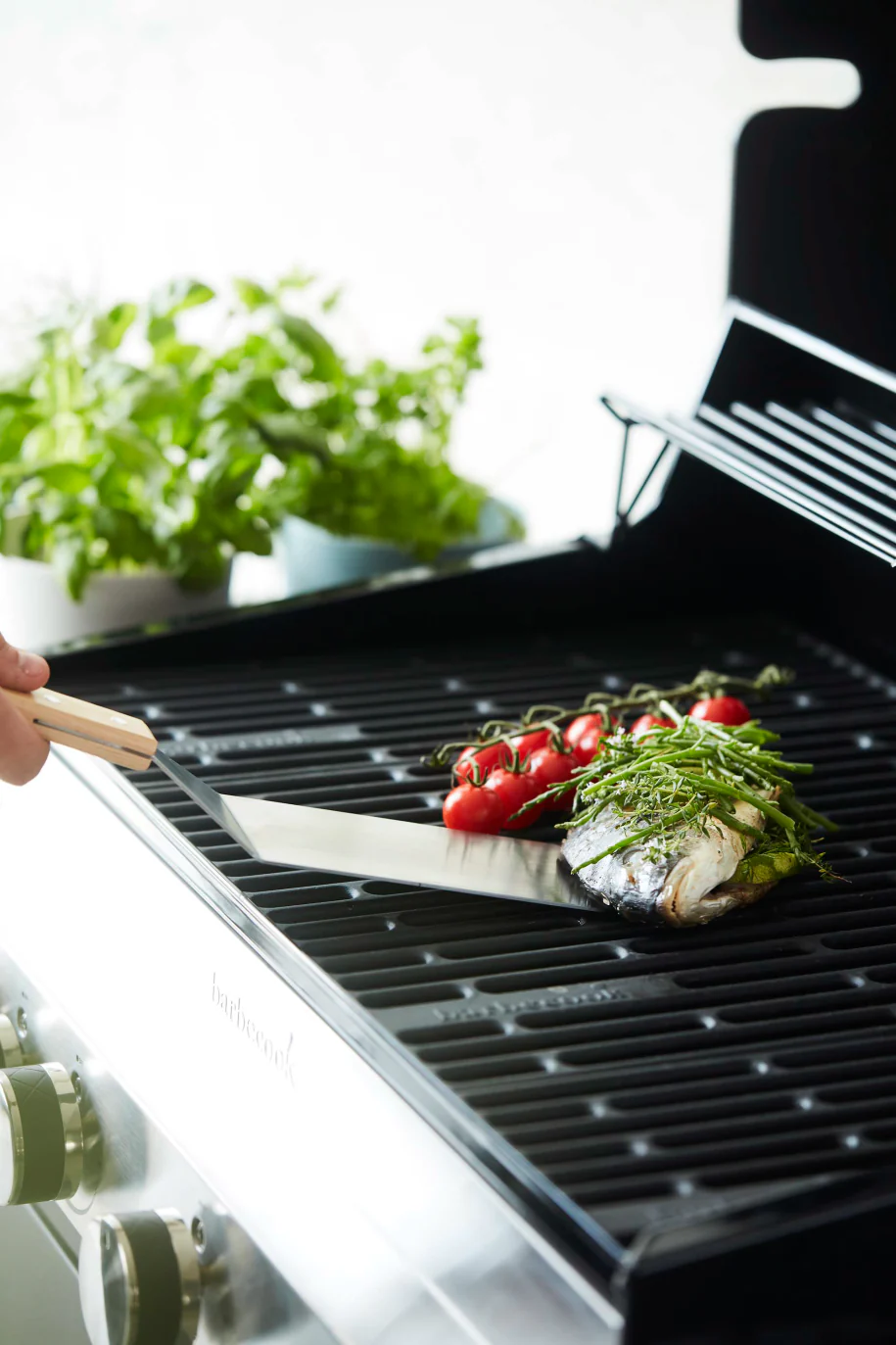Spatule à poisson FSC® - Image 5
