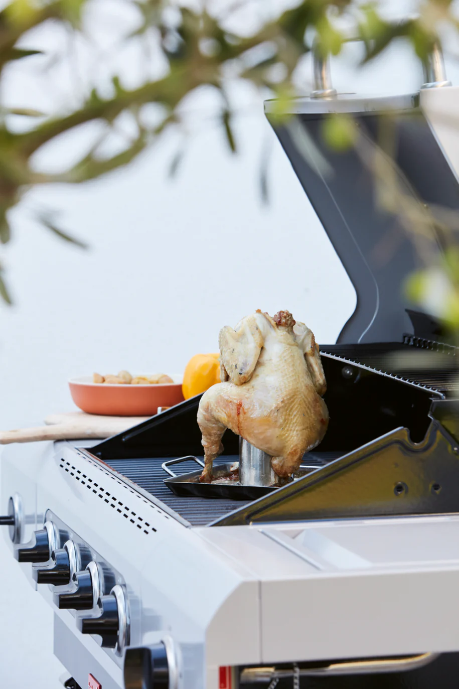 Support de cuisson pour poulet - Image 10