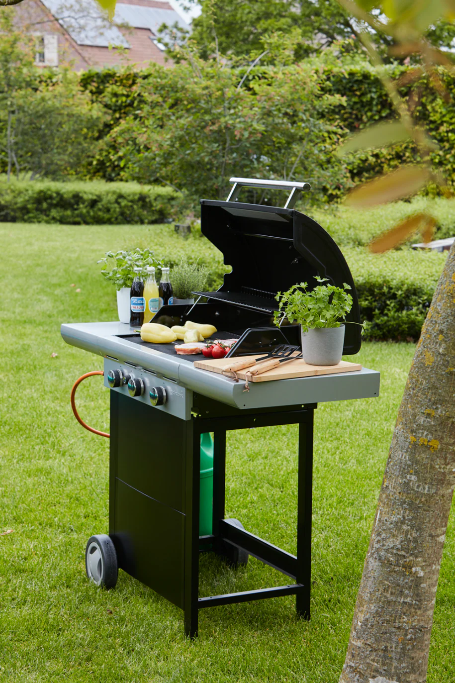 Spring 3112 - Image 21